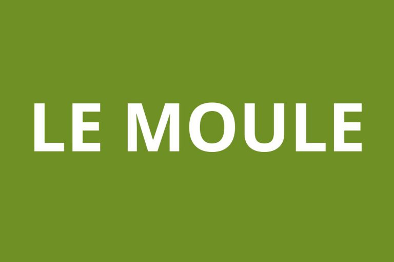 Agence CAF LE MOULE