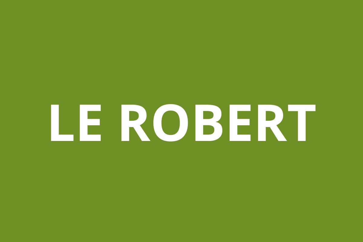 Agence CAF LE ROBERT