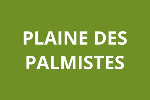 Agence CAF PLAINE DES PALMISTES