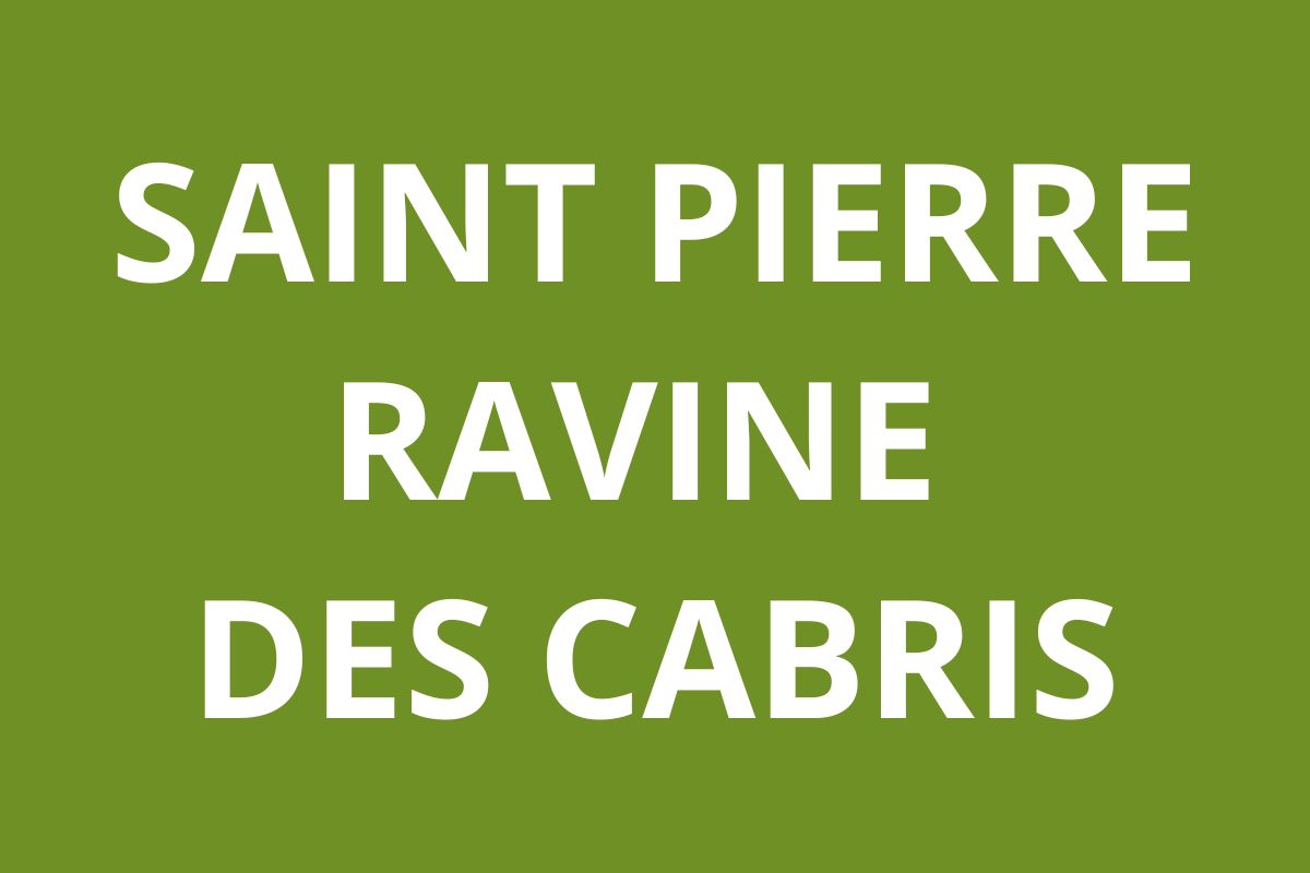 Agence CAF SAINT PIERRE - Ravine des Cabris