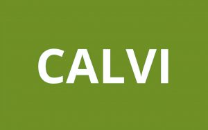 caf CALVI