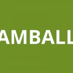 caf LAMBALLE