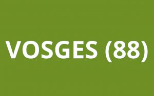 CAF Vosges (88)