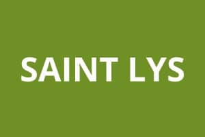 Agence CAF Saint Lys