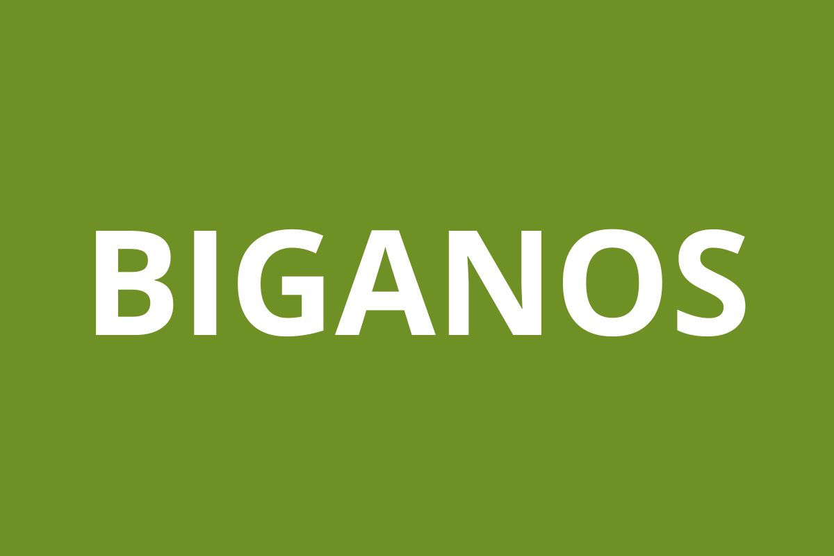 Agence CAF Biganos logo