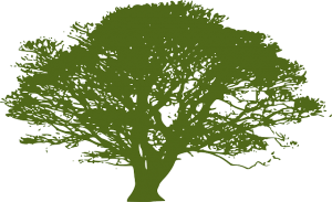 Crédit développement durable