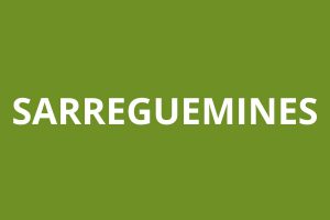 logo agence CAF Sarreguemines