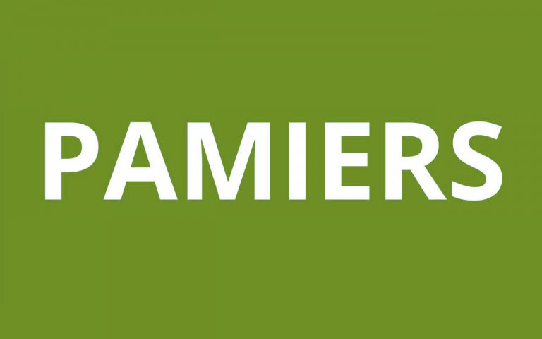 caf pamiers