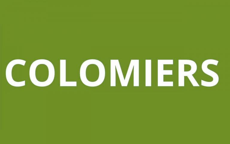 caf COLOMIERS