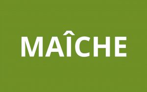 caf MAÎCHE