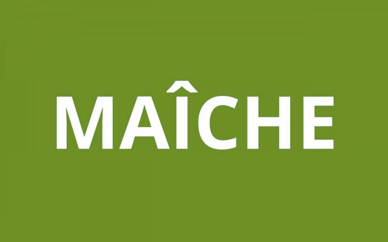 caf MAÎCHE