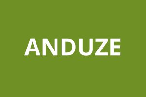 Agence CAF ANDUZE