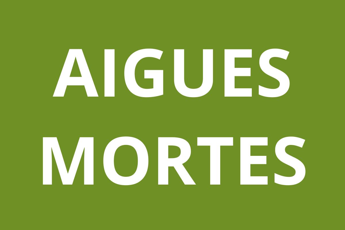 Agence CAF Aigues-Mortes