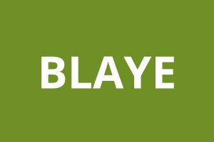 CAF Agence BLAYE