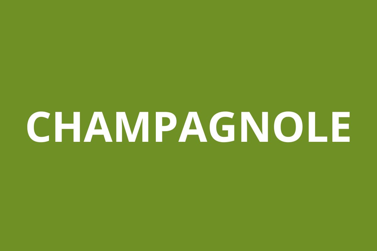 Agence CAF CHAMPAGNOLE