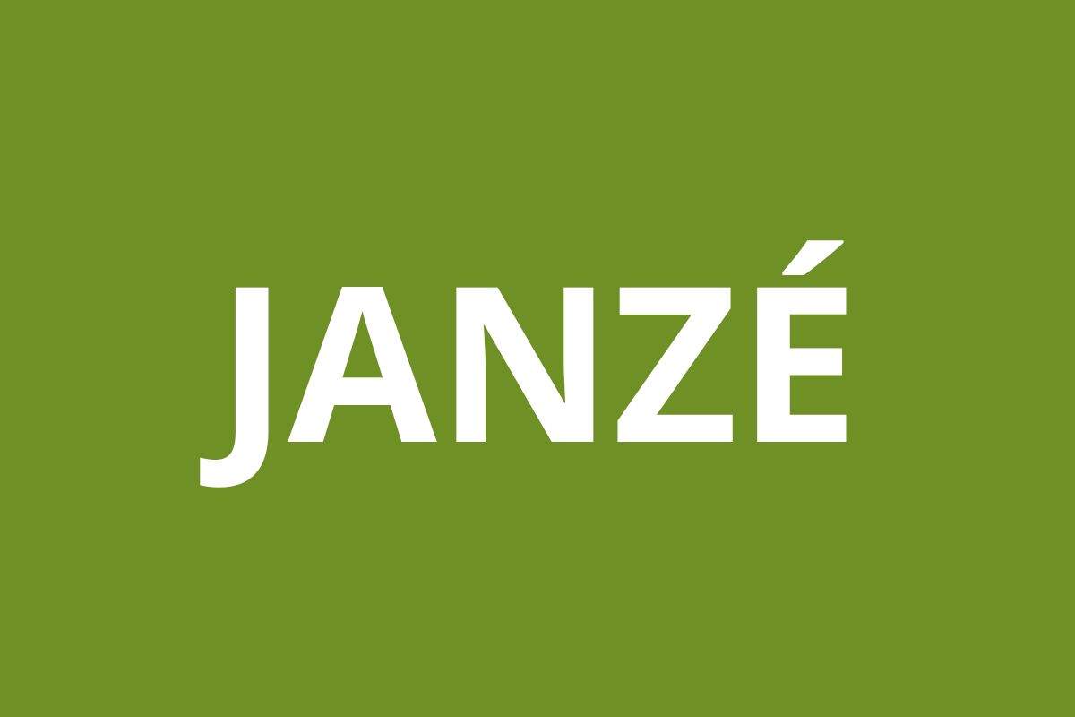 Agence CAF JANZÉ