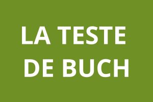 logo agence CAF LA TESTE DE BUCH
