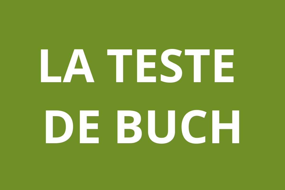 logo agence CAF LA TESTE DE BUCH