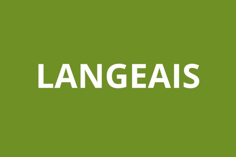 LOGO caf LANGEAIS