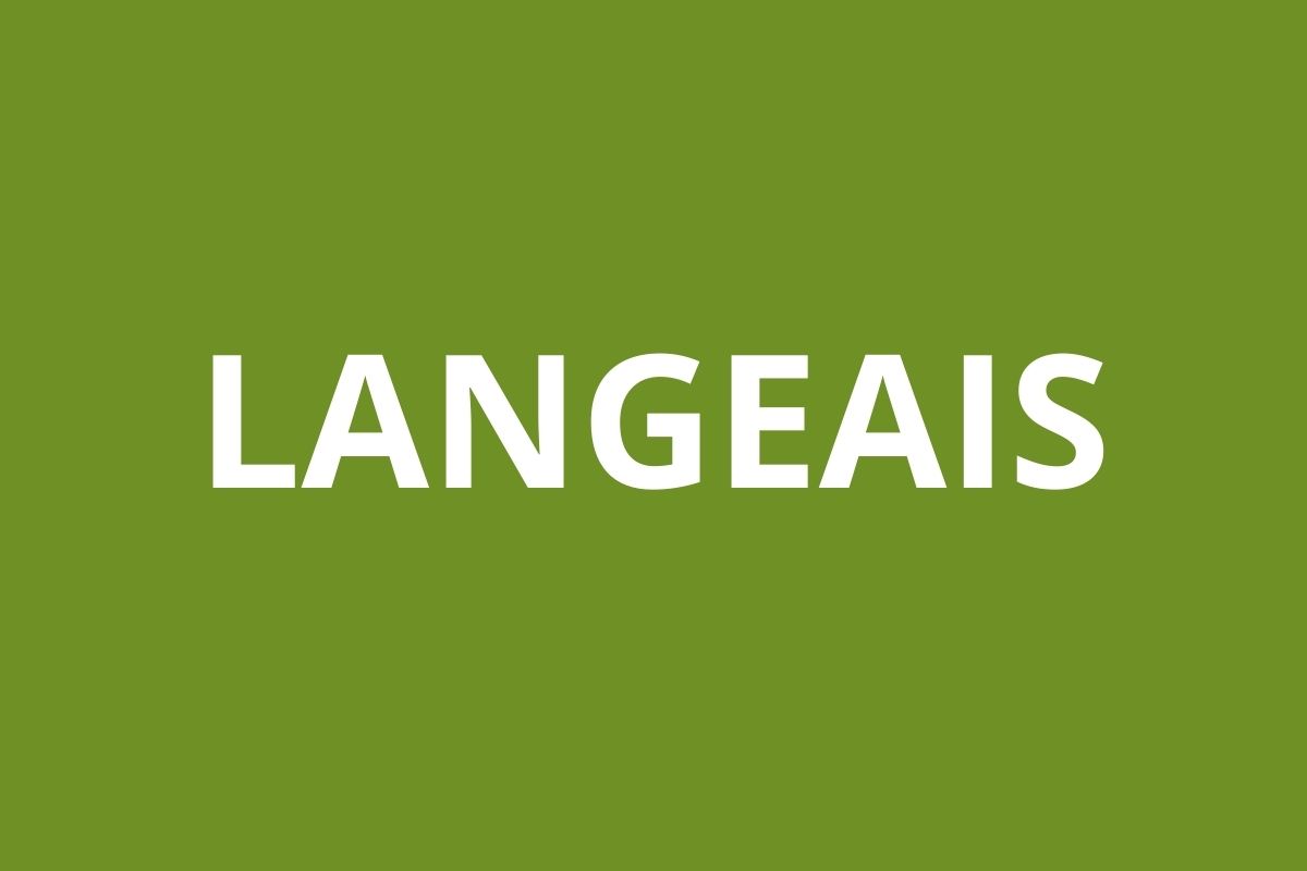 LOGO caf LANGEAIS
