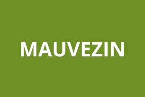 Agence CAF MAUVEZIN