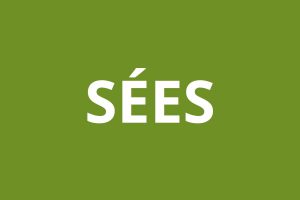 Logo agence CAF SÉES
