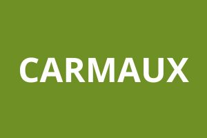 LOGO AGENCE CAF CARMAUX