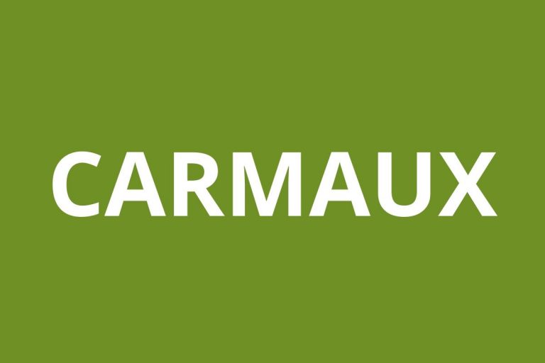 LOGO AGENCE CAF CARMAUX