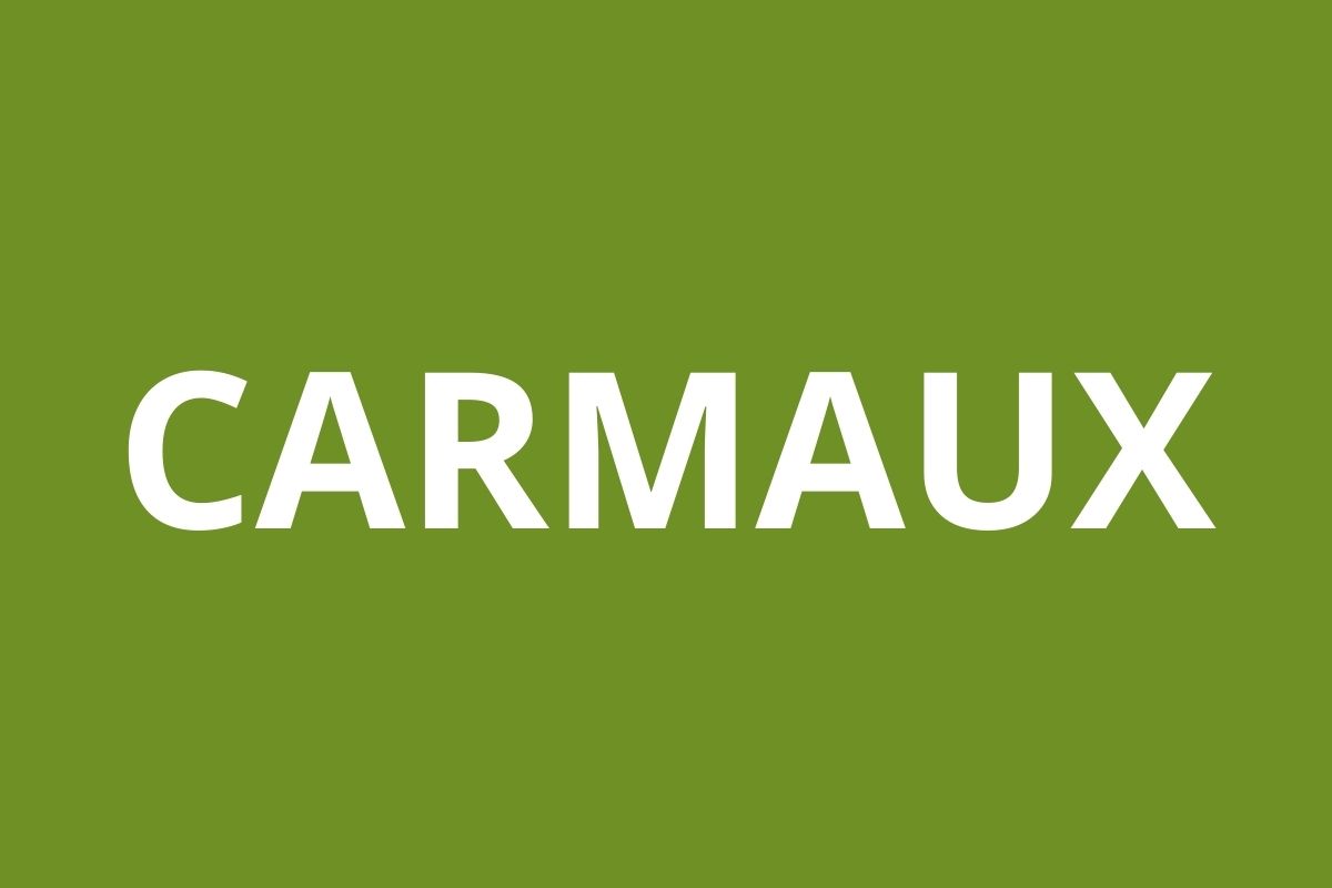 LOGO AGENCE CAF CARMAUX