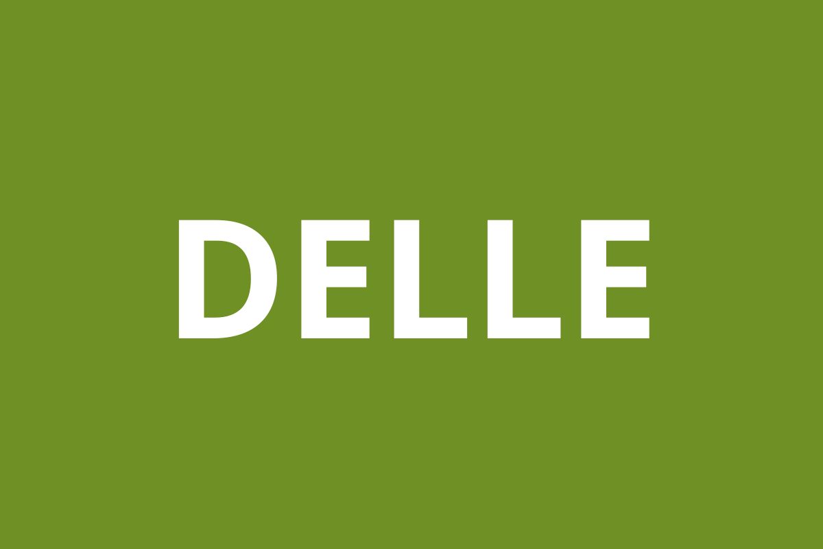 Agence CAF DELLE