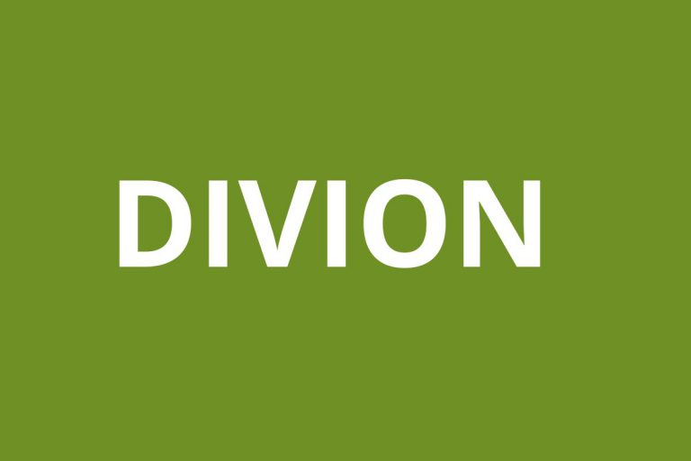 Agence CAF DIVION