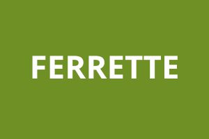 Agence CAF FERRETTE