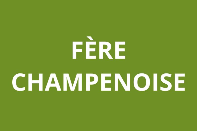 Agence CAF Fère-Champenoise