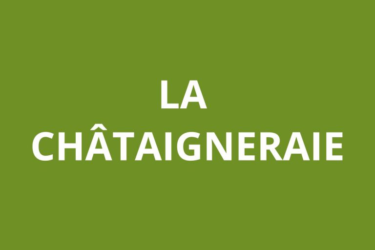 Agence CAF LA CHÂTAIGNERAIE