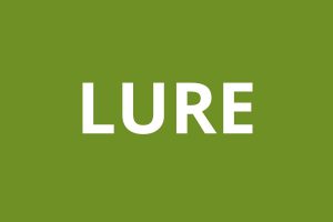 logo agence CAF LURE