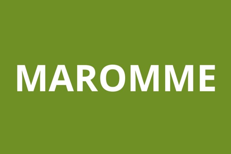 logo agence CAF MAROMME