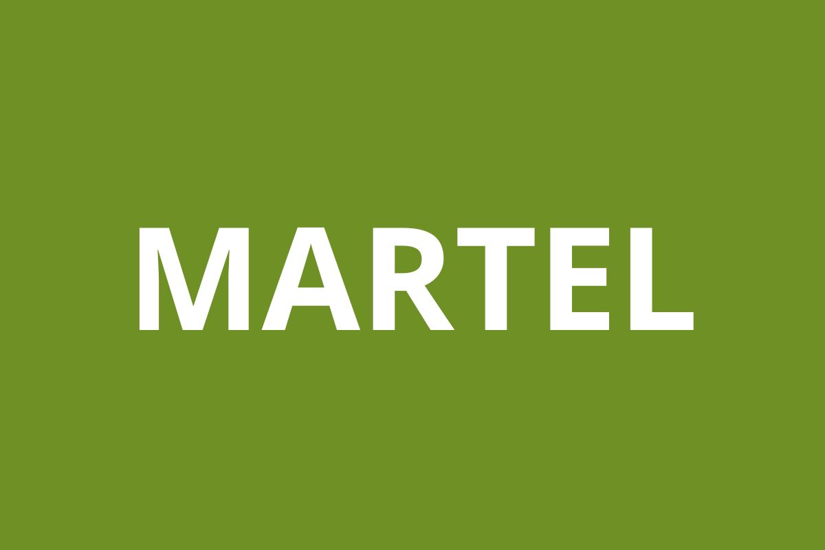 Agence CAF MARTEL