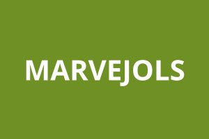 Agence CAF MARVEJOLS