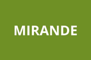 Agence CAF MIRANDE