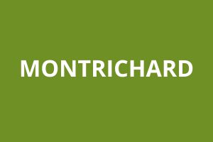 Agence CAF MONTRICHARD