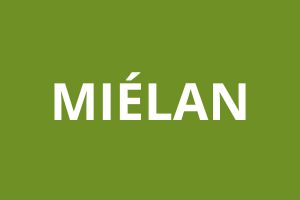 Agence CAF Miélan