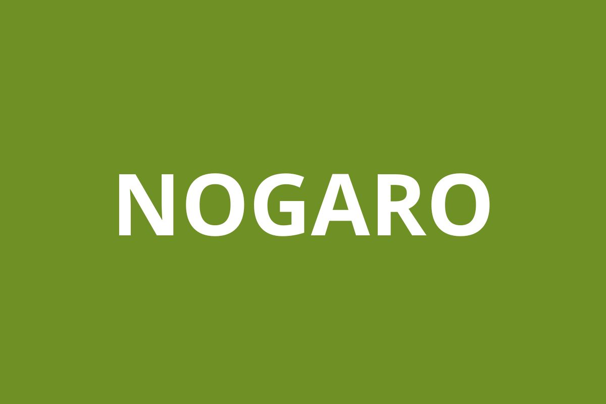 Agence CAF NOGARO
