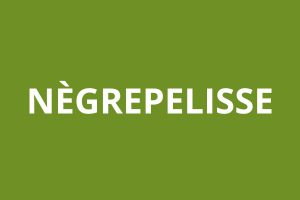 Agence CAF Nègrepelisse