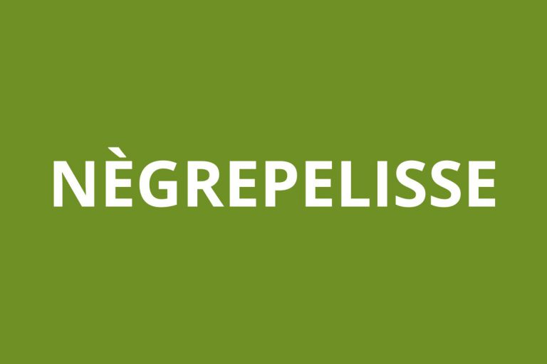 Agence CAF Nègrepelisse