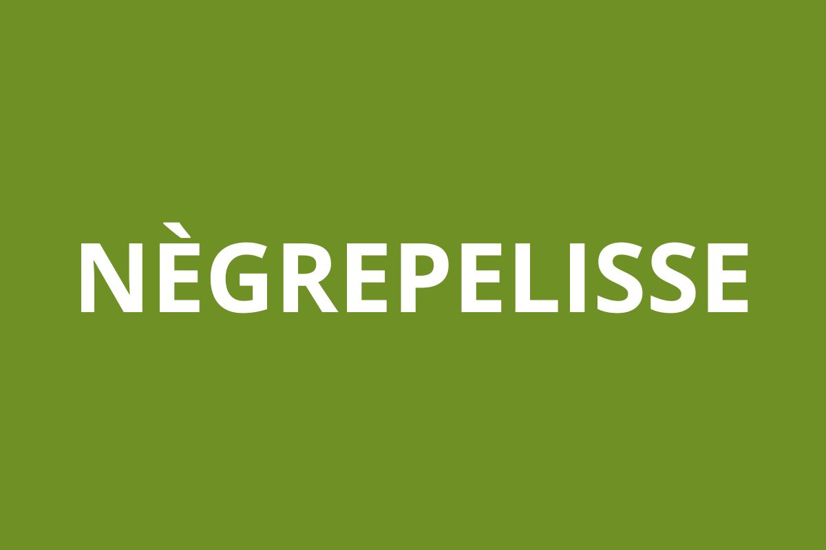 Agence CAF Nègrepelisse