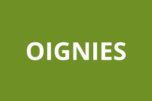 Agence CAF OIGNIES