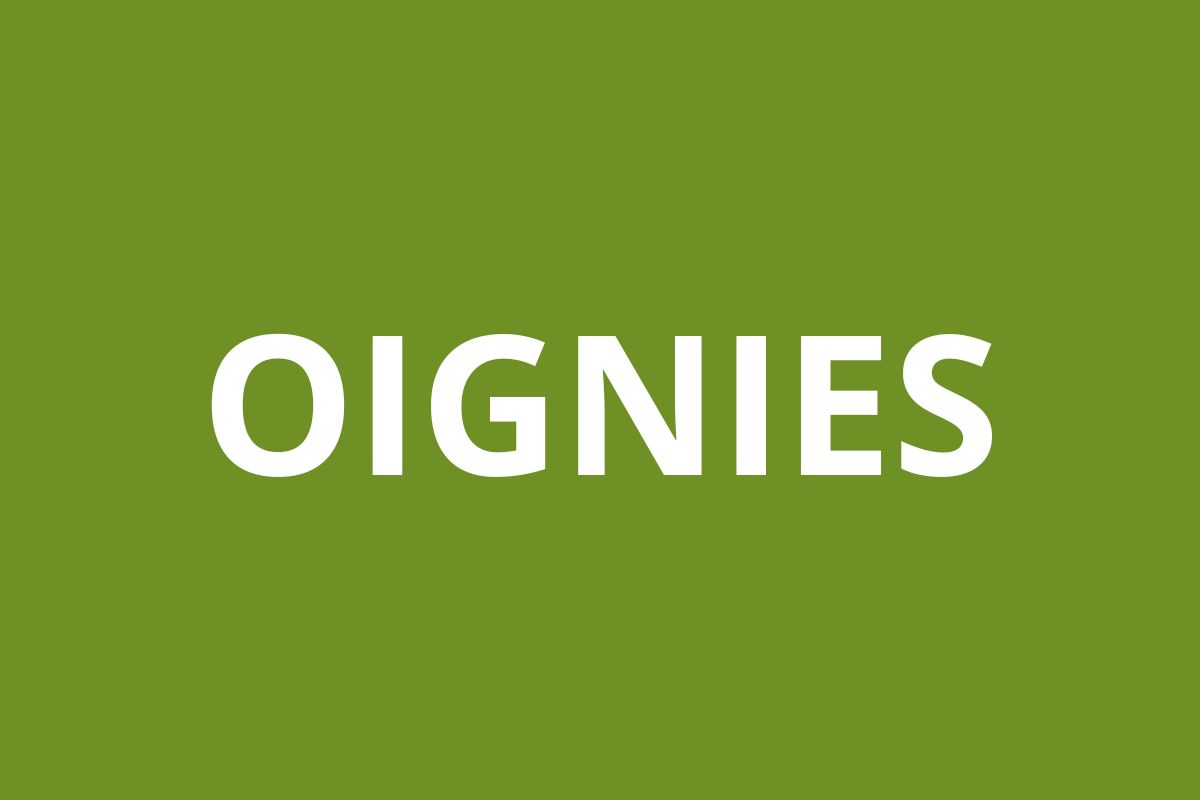 Agence CAF OIGNIES