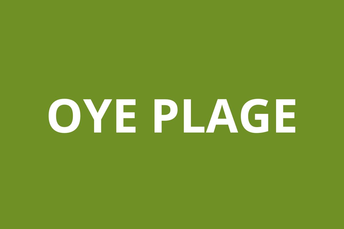Agence CAF OYE PLAGE
