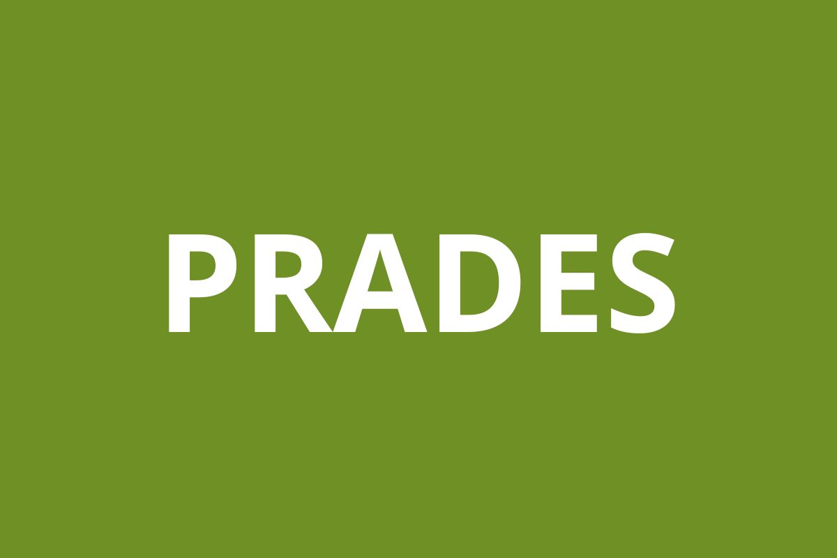 Agence CAF PRADES