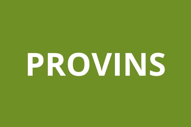 Logo agence CAF PROVINS